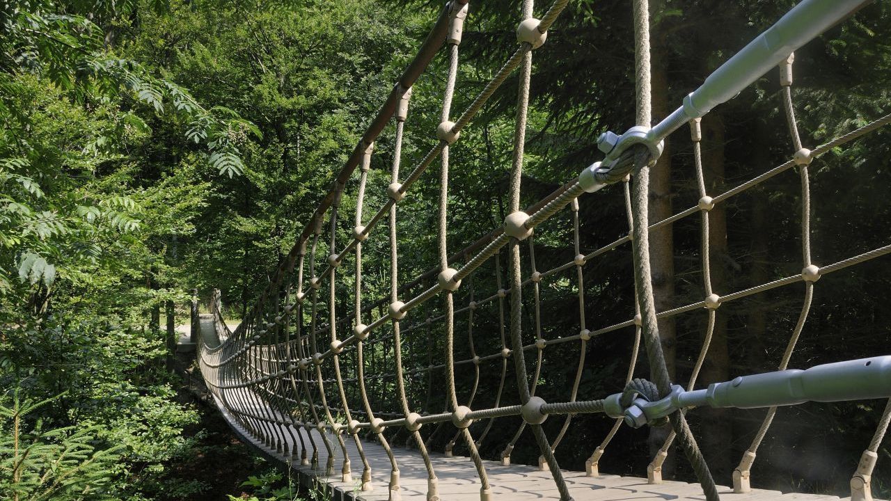 Der Rothaarsteig ist 156 Kilometer lang und führt quer durch das Sauerland. Tipp: Wandere die Erlebnis-Strecke mit einer Hängebrücke über einem Tal-Einschnitt bei Kühhude.