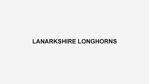 
                <strong>Lanarkshire Longhorns</strong><br>
                Die Lanarkshire Longhorns sind ein Jugend-Team aus Schottland. Sie spielen in der Division Nord der BAFA-Junior-Liga.
              