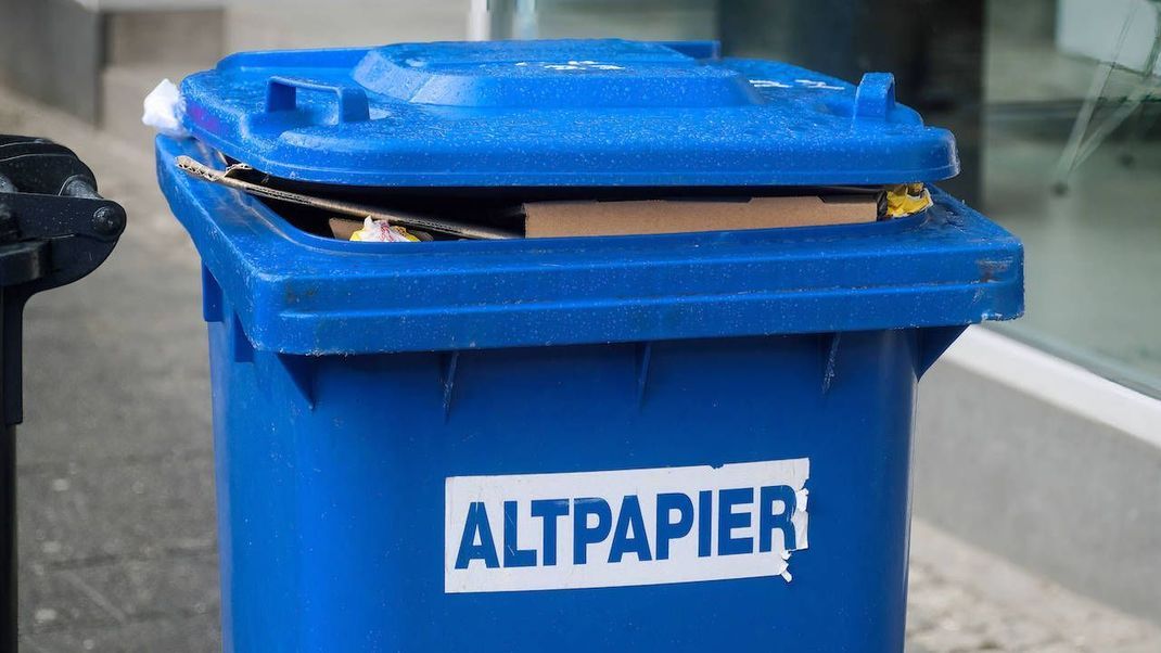 Wer Papier entsorgt und recycelte Papierprodukte kauft, schützt die Umwelt