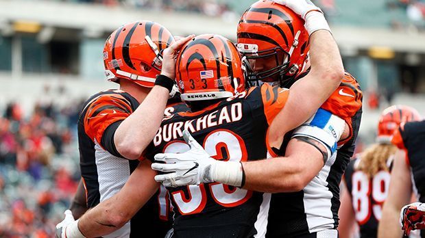 
                <strong>Cincinnati Bengals</strong><br>
                Runde 4 – Pick 138Runde 5 – Pick 176Runde 6 – Pick 217Runde 7 – Pick 251Abgänge : Marvin Jones, Emmanuel Lamur, Reggie Nelson, Mohamed Sanu, Andre Smith
              