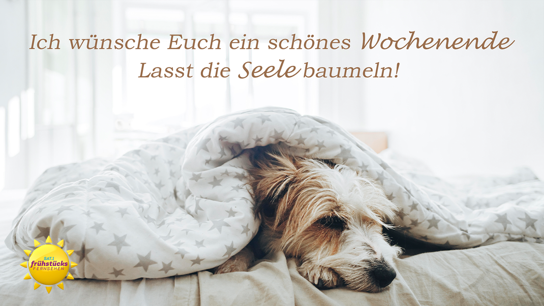 Man muss auch mal faul sein. Verschicke relaxte Wochenendgrüße an deine Liebsten.