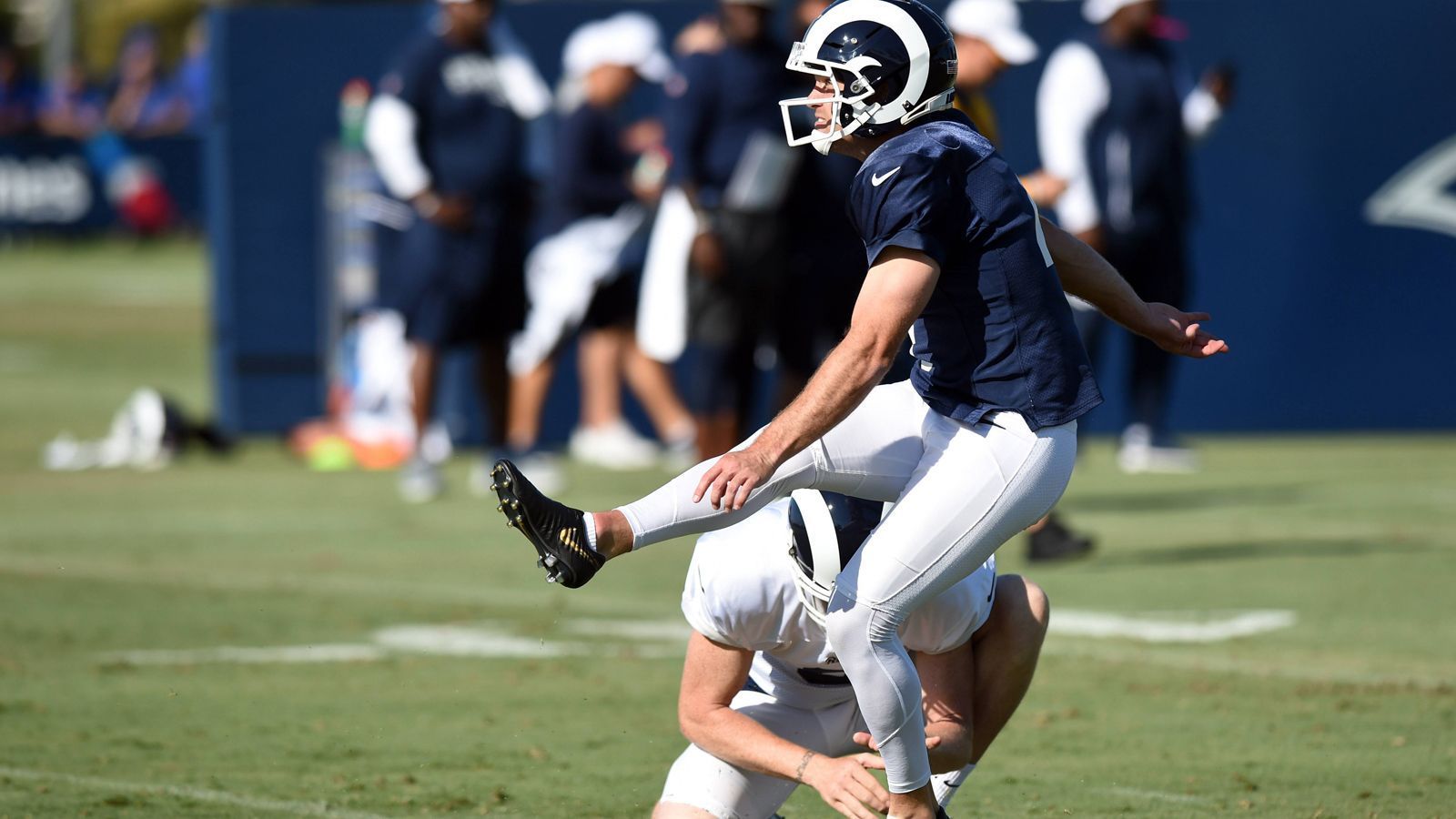 
                <strong>Greg Zuerlein (Los Angeles Rams)</strong><br>
                Durchschnittliches Jahresgehalt: 2.250.000 Dollar
              