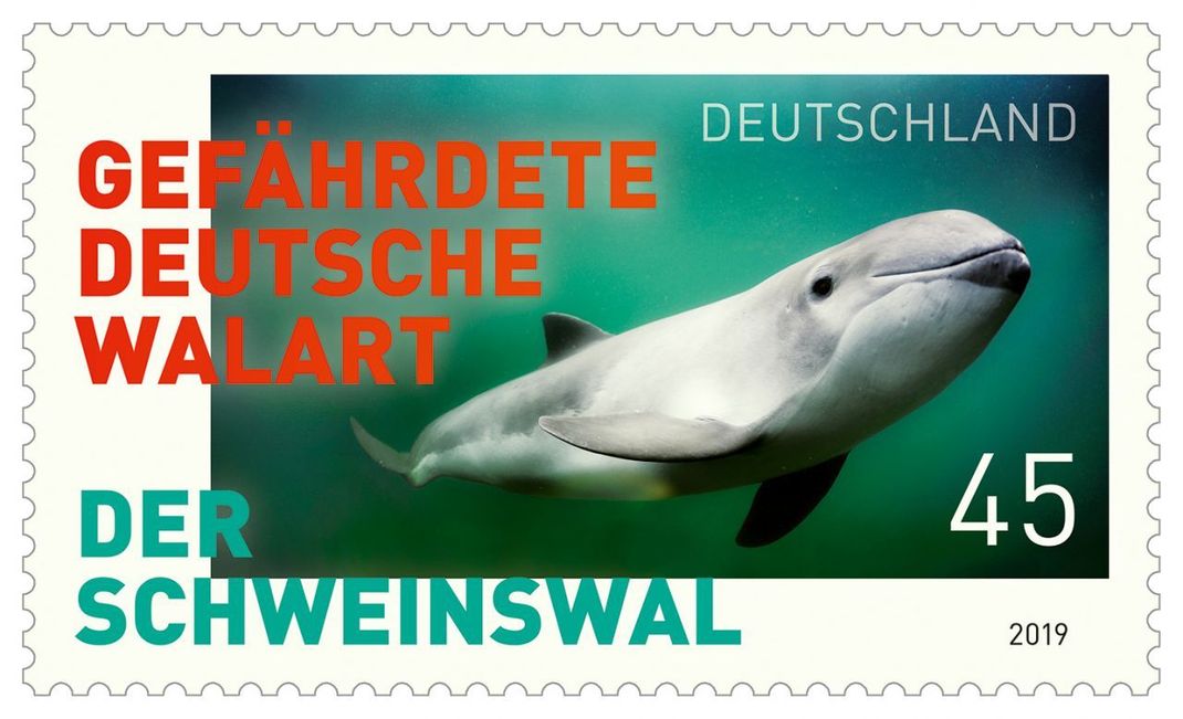 2019 kam eine Briefmarke heraus, die auf den Schweinswal als gefährdete deutsche Walart aufmerksam machen soll. Umweltverschmutzung, Klimawandel, Überfischung, Lärm im Meer und Fischernetze bedrohen den Bestand.