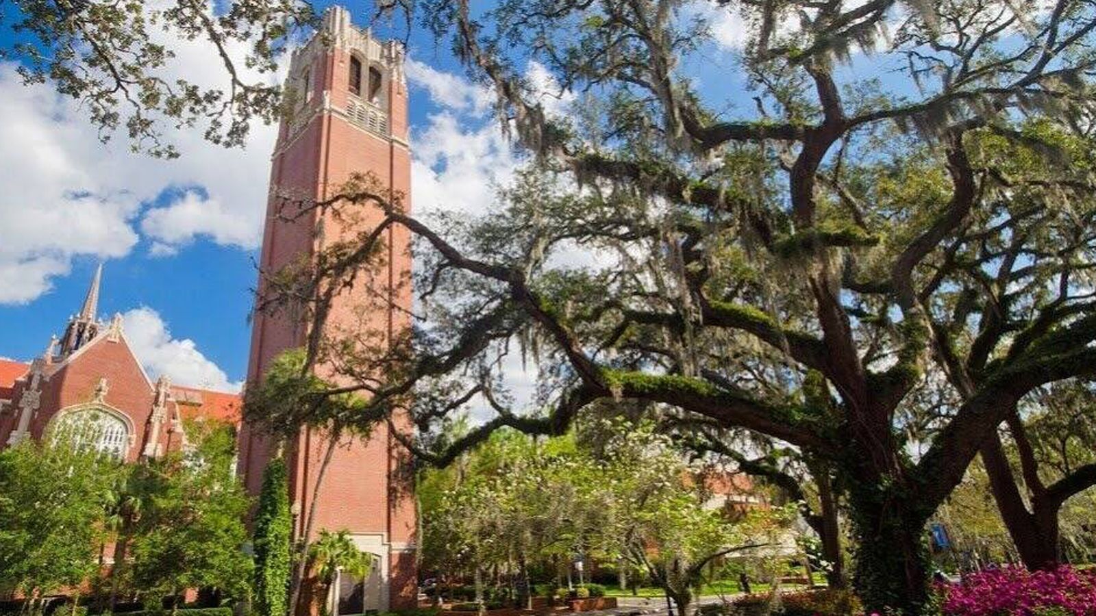 
                <strong>Diversity-College</strong><br>
                2018 zeichnete sich die Florida-Universität als diejenige mit den landesweit zweitmeisten Bachelor-Degrees von Afro-Amerikaner und drittmeisten von Hispanics aus. Diversität wird hier also groß geschrieben.
              