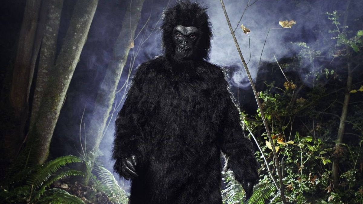 Bigfoot Gettyimages Ryanjlane 108313083