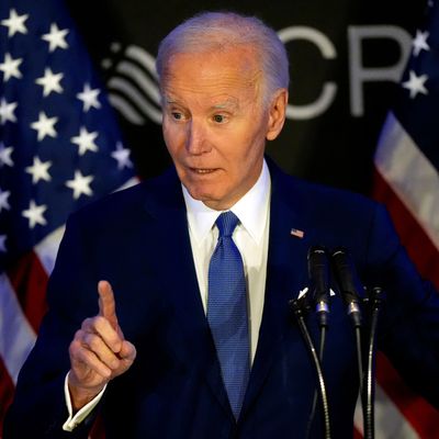 In einer Rede hat Biden zum ersten Mal seit dem Amtsantritt seines Nachfolgers Donald Trump die Regierung offen kritisiert.
