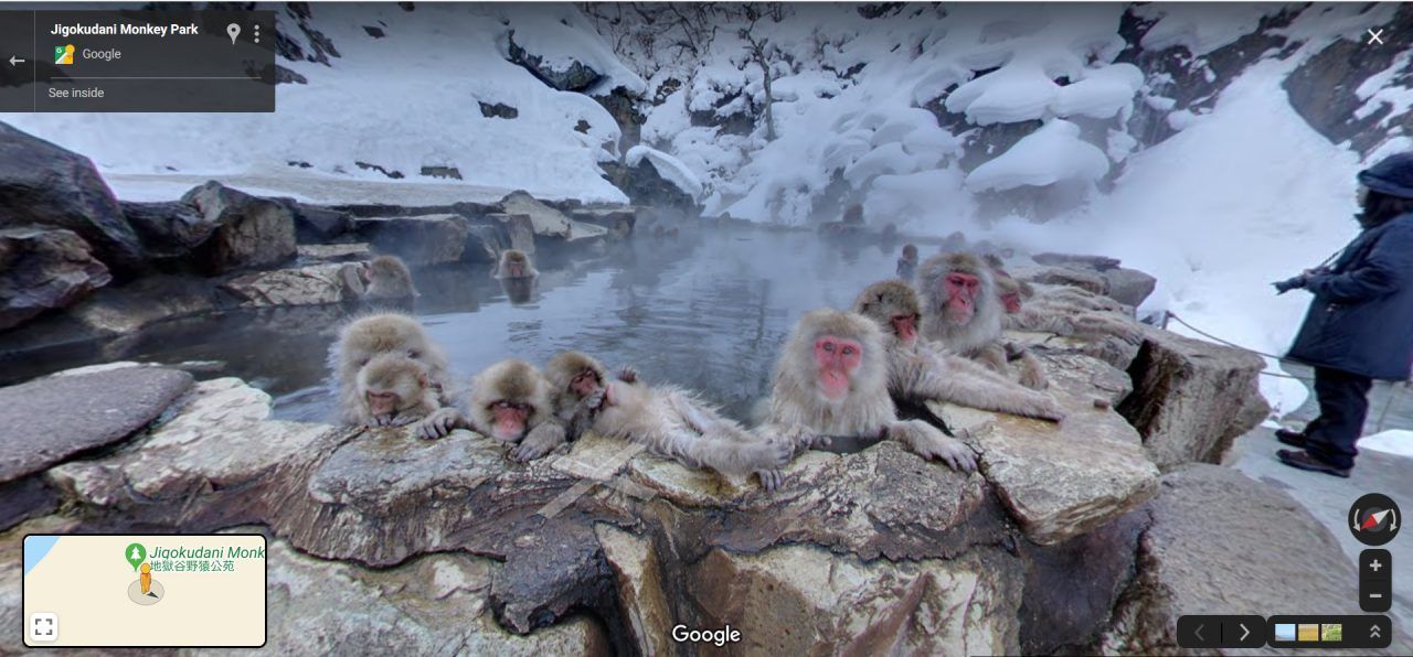Eisbaden ist nur was Hartgesottene. Oder für Affen in einem japanischen Nationalparks.
