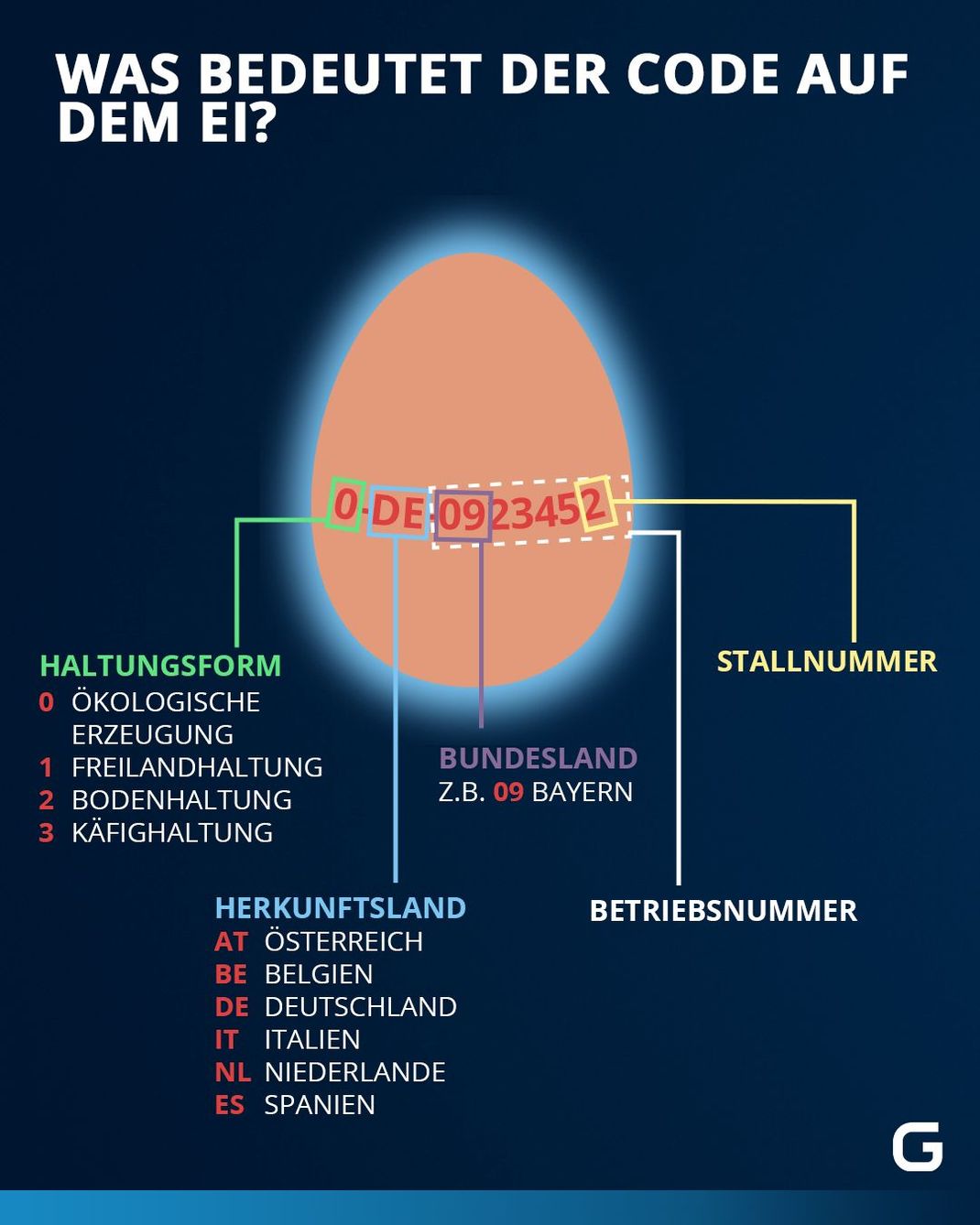 Was bedeutet der Code auf dem Ei?