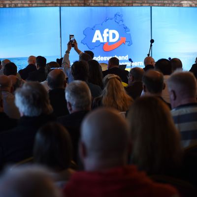 Der Post eines AfD-Werbevideos durch eine Schülerin hat in Mecklenburg-Vorpommern die Polizei auf den Plan gerufen. 