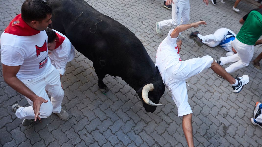 Die Stierhatz ist in Spanien Tradition - Tierschützer kritisieren die Hetzjagd.