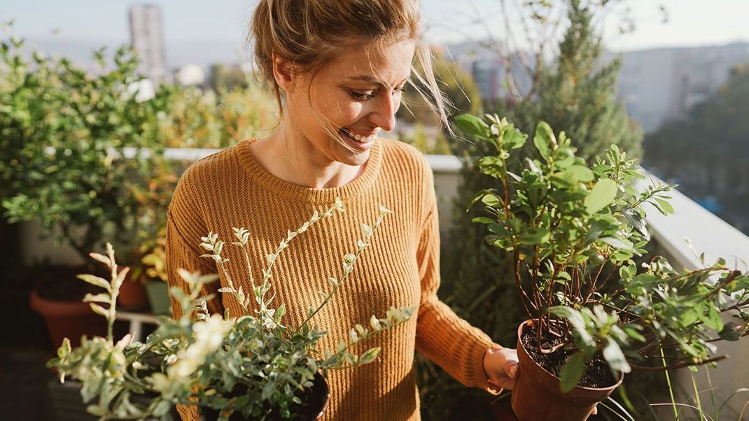 Wohltuende Pflege für die Haut, ein Vitamin-Booster für euer Immunsystem und heilende Wirkung für den ganzen Körper – hier lest ihr alles über "natürliche Kräfte" aus der Natur!