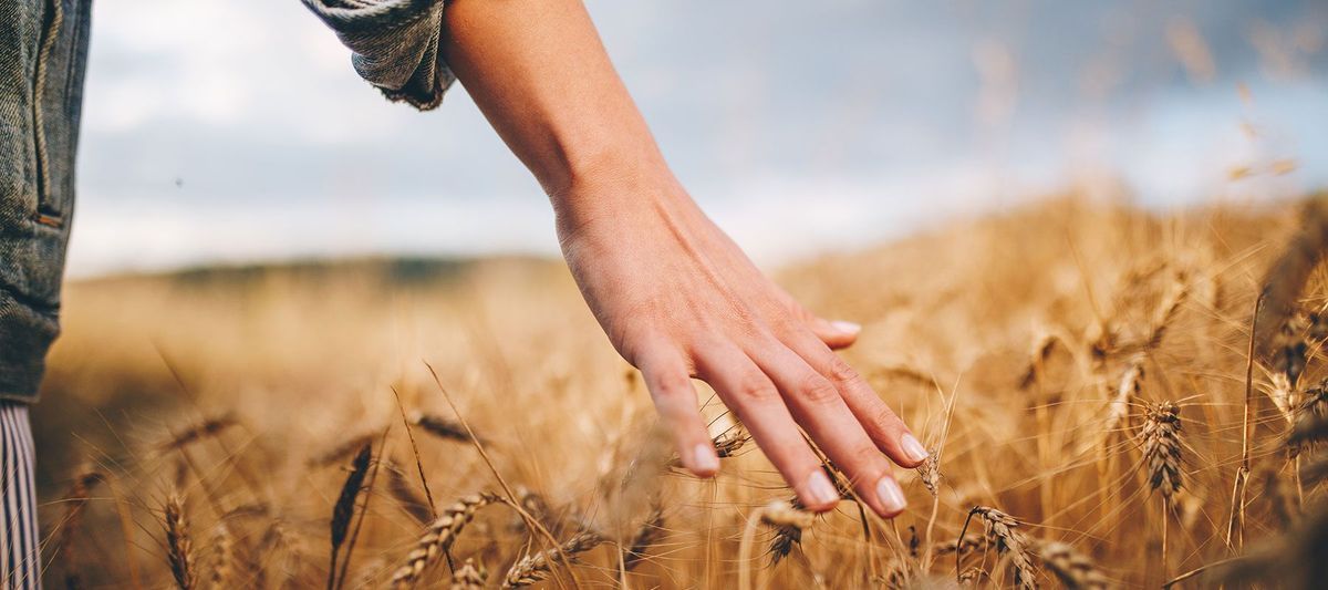 Nagelöl, Handcreme & Co. » Die besten Tipps für gepflegte Nägel!