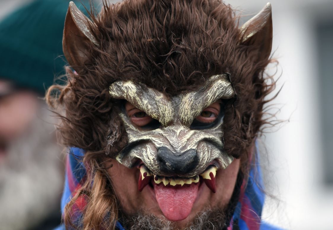 Mit Werwolfmaske sorgen Sie für jede Menge Gruselfaktor auf der Halloweenparty.