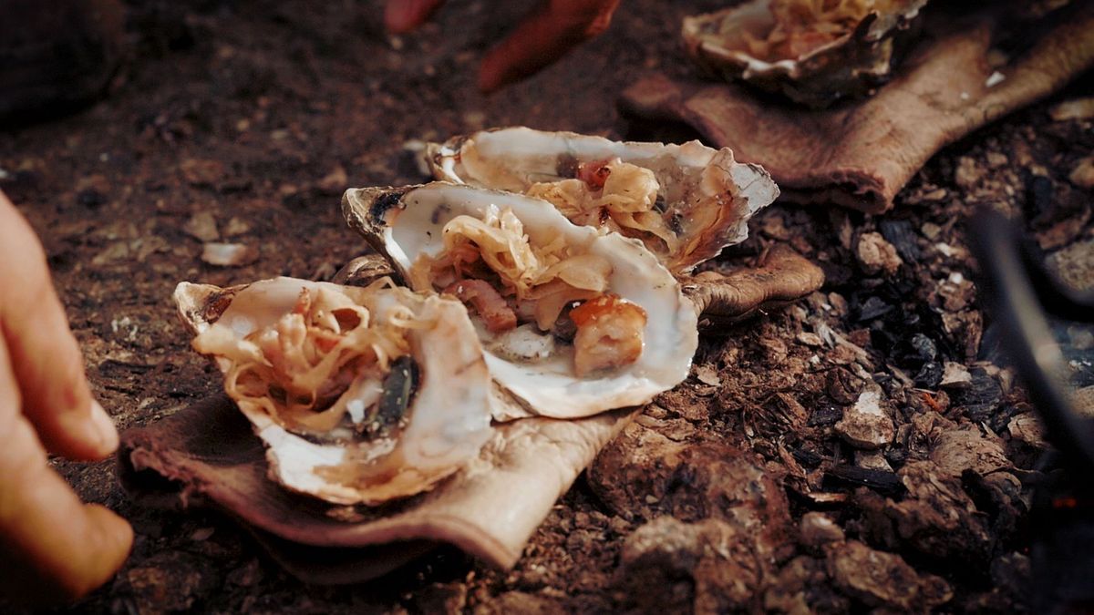 Oysters Marennes Oléron
