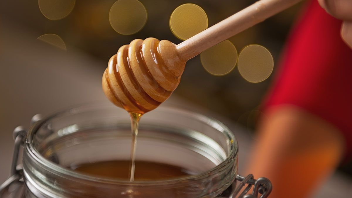 Frozen Honey – der TikTok Trend, der viral geht! Was steckt dahinter? Und kann das wirklich gesund sein? Wir haben die Fakten im Beauty-Artikel.