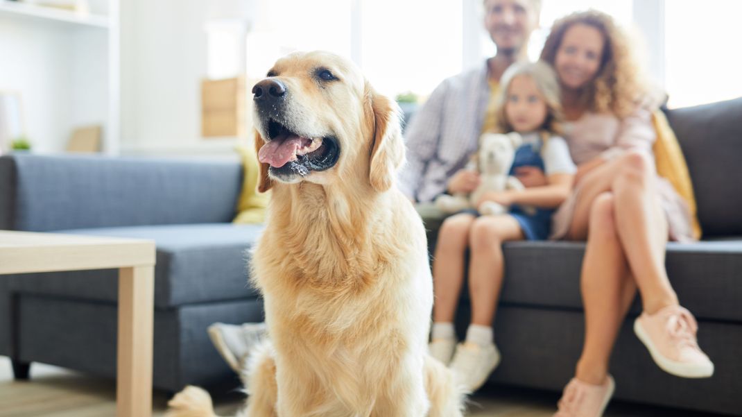 Ein Hund kann das Familienleben enorm bereichern.