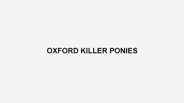 
                <strong>Oxford Killer Ponies</strong><br>
                Die Oxford Killer Ponies sind ein Flag-Football-Team aus England. Die Sportart stammt vom American Football ab und unterscheidet sich nur leicht im Regelwerk.
              