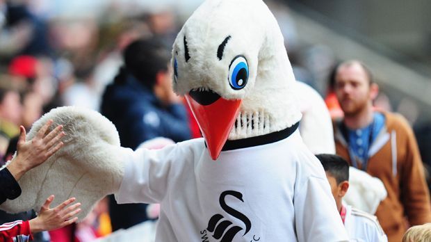 
                <strong>Cyril the Swan (Swansea FC)</strong><br>
                Er ist berühmt-berüchtigt auf der Insel, denn wo der aggressive Schwan auftritt, wächst kein Gras mehr. Das Maskottchen des walisischen Fußball-Klubs Swansea FC greift gerne gegnerische Maskottchen oder auch Ordner an. Dem Millwall-Maskottchen Zampa riss er mal den Löwen-Kopf ab und beförderte ihn auf die Tribüne.
              