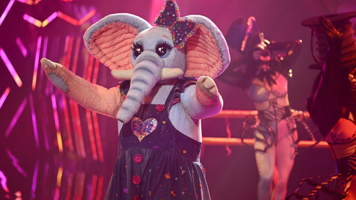 Der Frotteefant ist im Finale von "The Masked Singer" 2023 enthüllt.