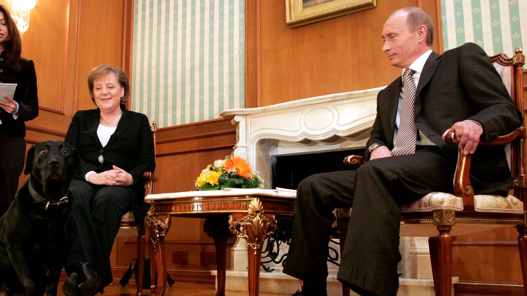 21. Januar 2007: Angela Merkel und Putin werfen einen Blick auf den Hund des russischen Präsident - bei welchem sich die Bundeskanzlerin sichtlich unwohl fühlt.