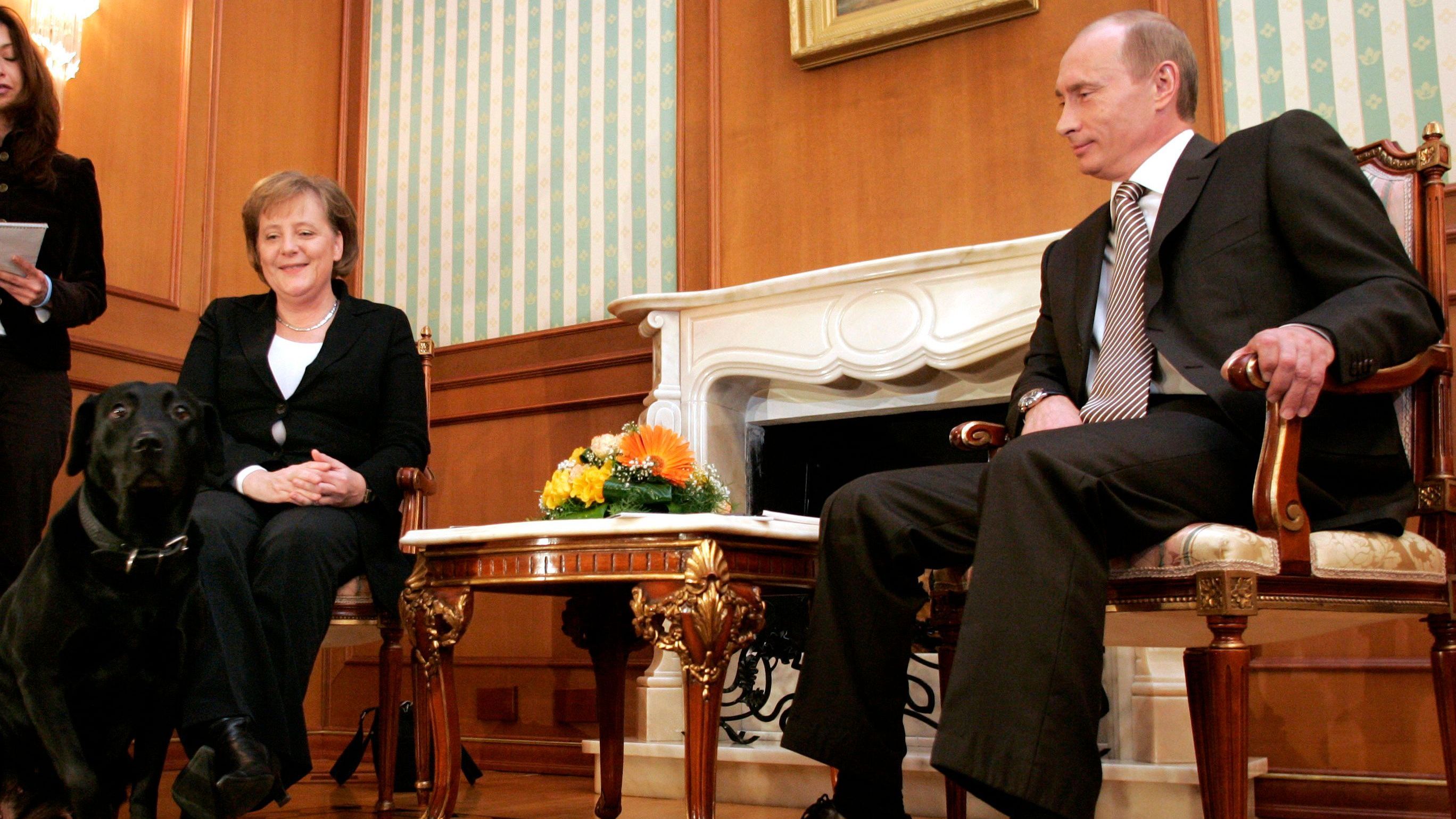 21. Januar 2007: Angela Merkel und Wladimir Putin werfen einen Blick auf den Hund des russischen Präsidenten - neben dem sich die Bundeskanzlerin sichtlich unwohl fühlt.