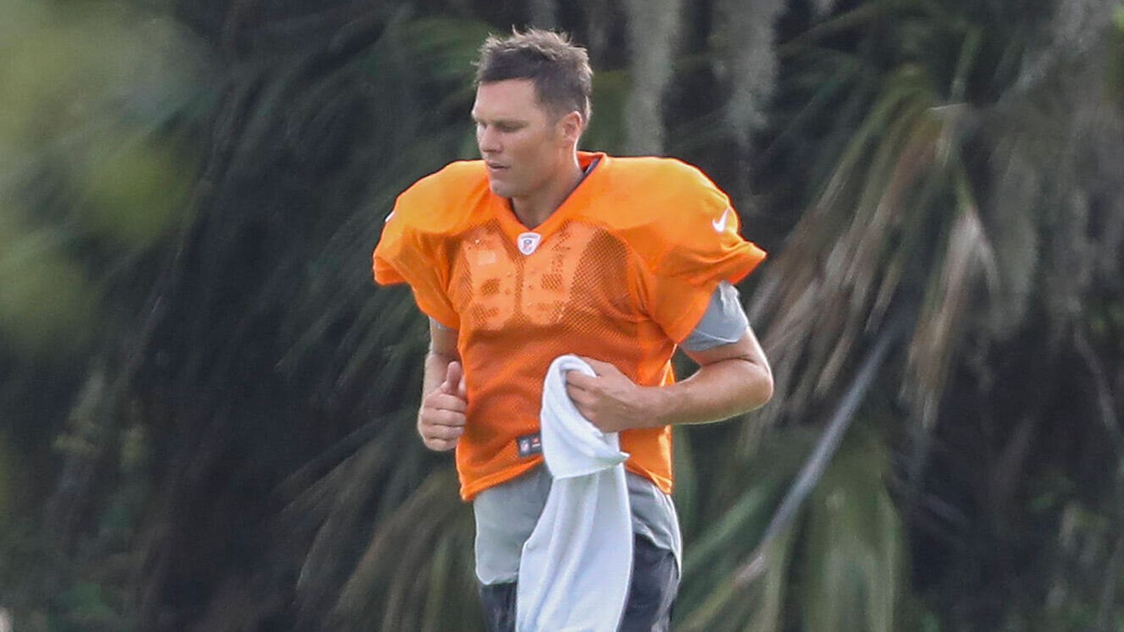 
                <strong>Tom Brady trainiert wieder</strong><br>
                ... ein ungewohnter Anblick! Brady in einem orangenen Trainingsshirt. Auf dem Footballfeld einer Schule in Tampa Bay trainierte der 42-Jährige mit einigen Teamkameraden der Buccaneers. Und keine Sorge, liebe Verschwörungstheoretiker - es fand alles im Rahmen der NFL-Statuten statt, so dass dieses formlose Workout rechtens war.
              