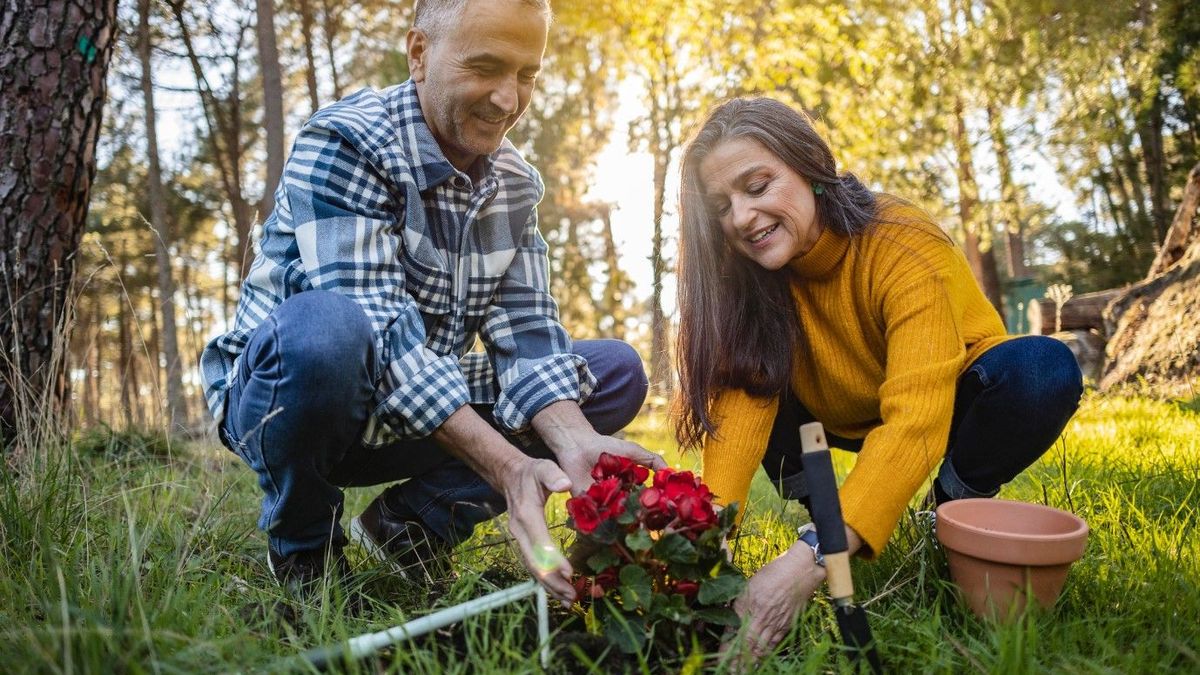 Gartenarbeit 