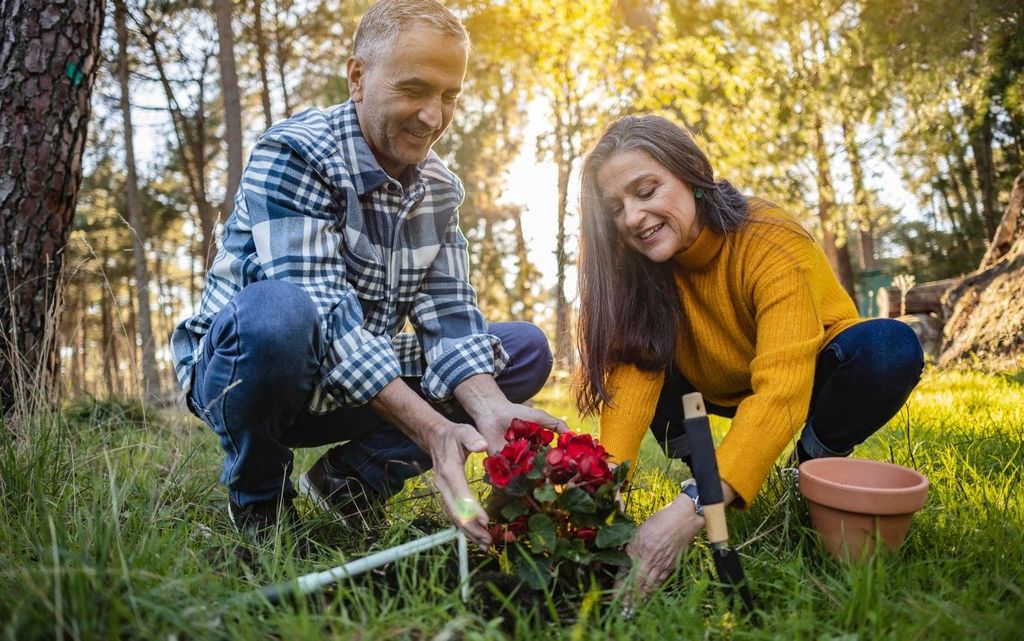 Das ist im Garten und in der Wohnung an Arbeiten an Sonn und