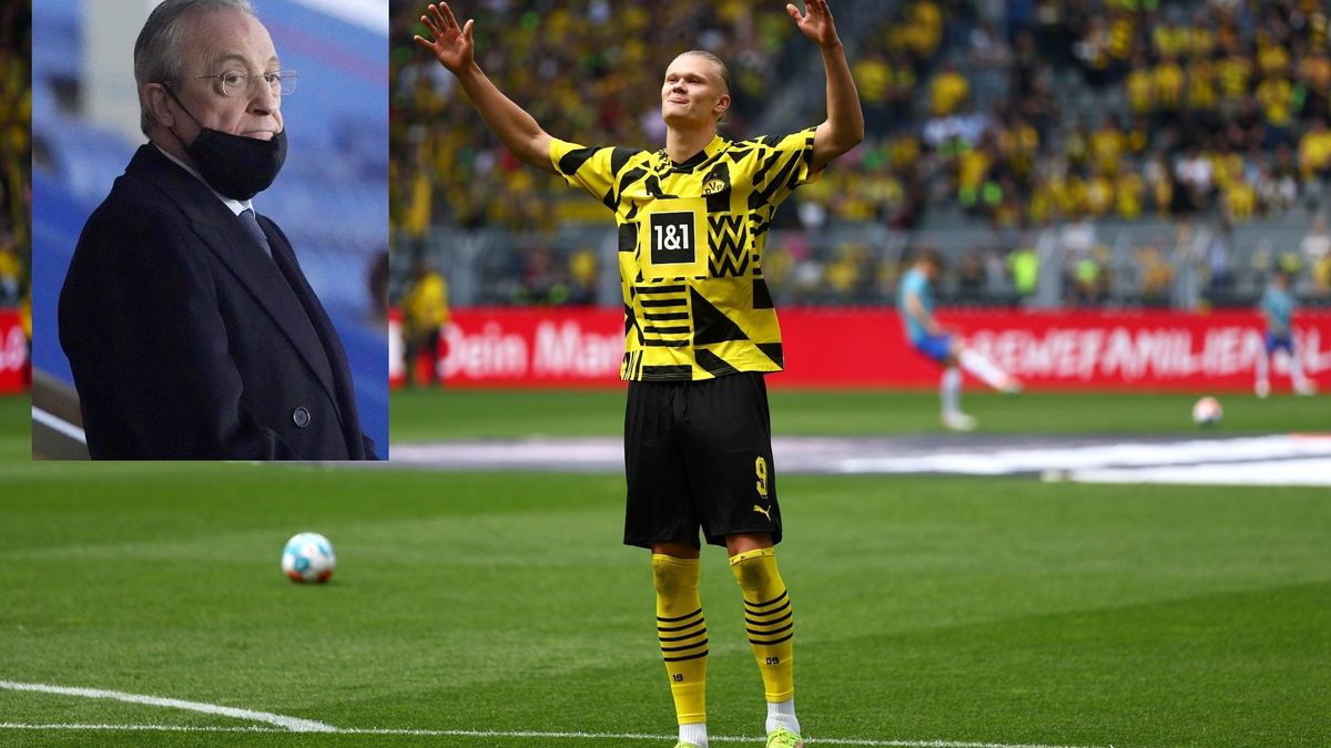 Haaland und Perez