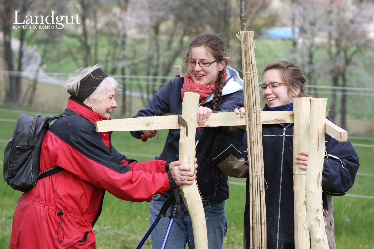 Schilfmatten sind aus natürlichem Material. Zusätzlich kommt noch ein Gestell aus Holz um den jungen Baum.