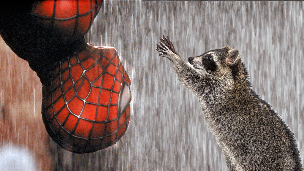 Spider-Man vs. Raccoon: What comedy with Tobey Maguire you shouldn’t miss!