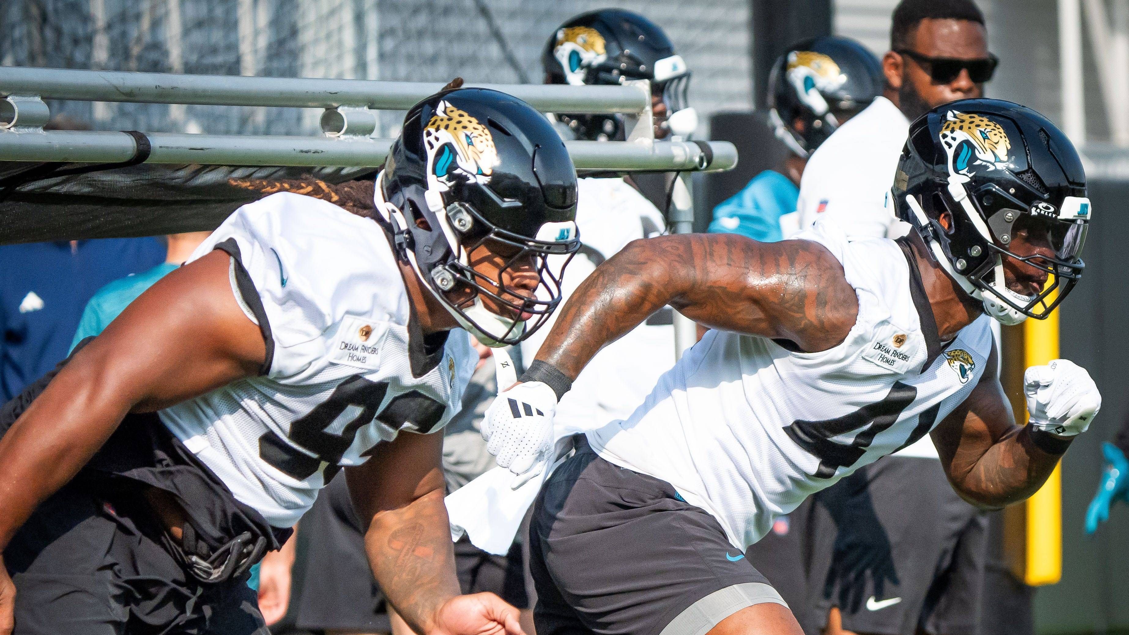 <strong>Jacksonville Jaguars (weniger als 1 Prozent)</strong>