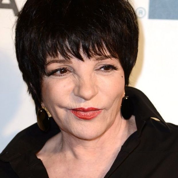 Liza Minelli Image