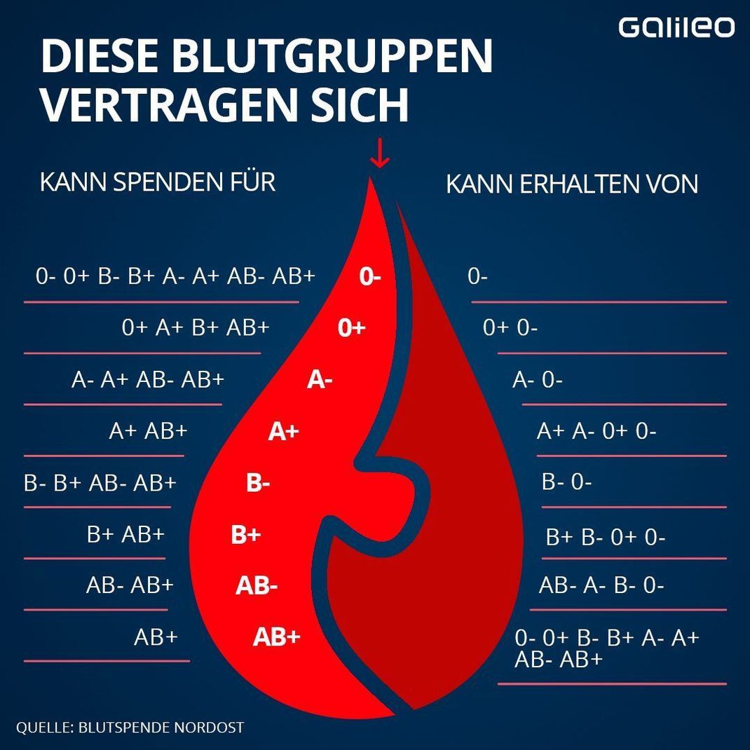 So vertragen sich Blutgruppen miteinander. 