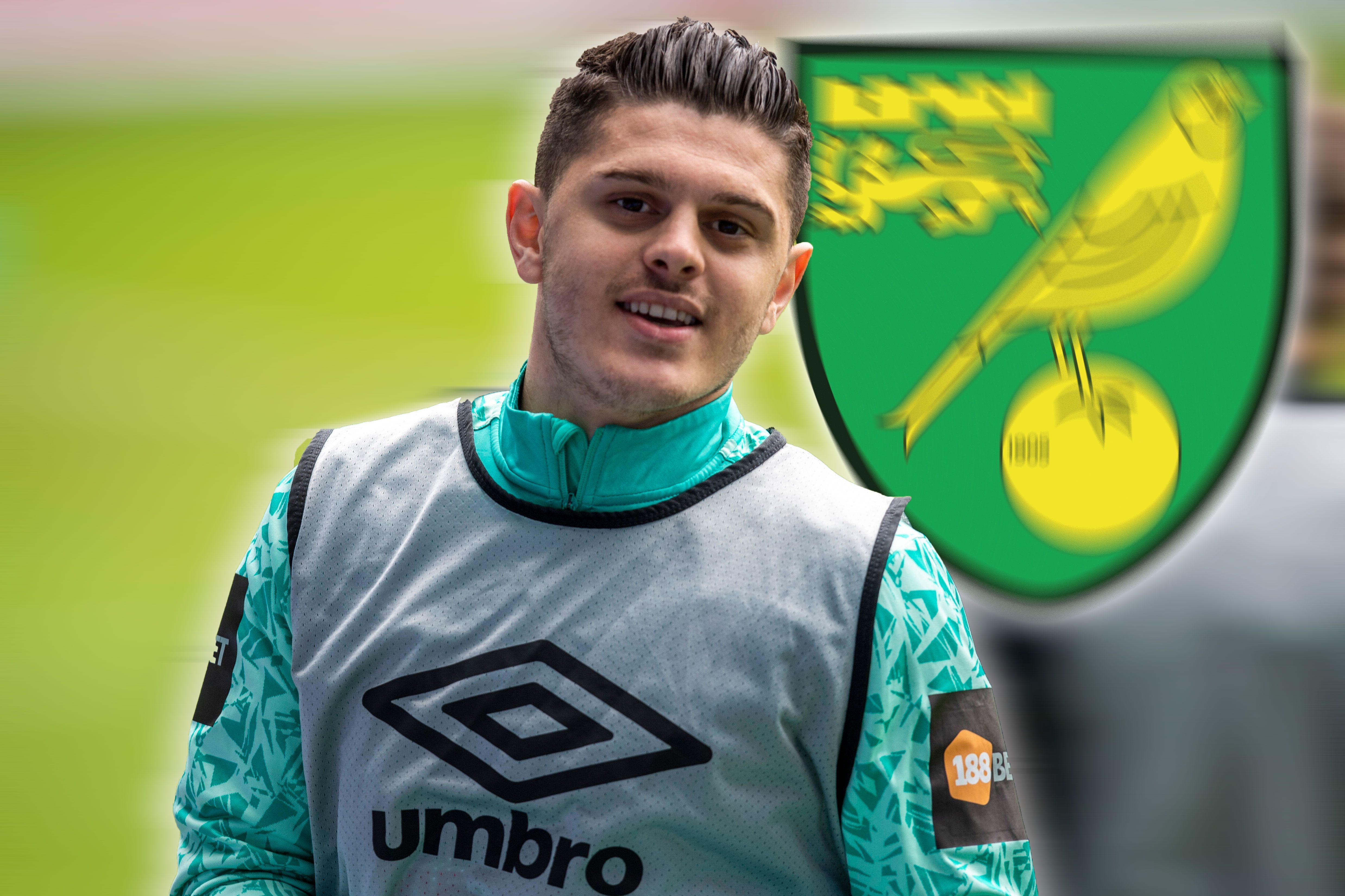 
                <strong>Platz 9: Norwich City</strong><br>
                Transferausgaben: 39,65 Millionen EuroTransfereinnahmen: 38,4 Millionen EuroTeuerster Einkauf: Milot Rashica (11 Millionen Euro/Werder Bremen)
              