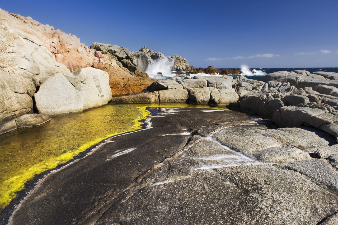 Goldalgen: Das Foto zeigt die golden schimmernden Algen in einer Meerespfütze an der Küste Sardiniens. Sie kommen nicht immer in diesen großen Gruppen vor, sondern leben vor allem einzeln. Zwar sieht der Anblick der goldenen Masse schön aus, aber eigentlich ist das Massenauftreten ein Problem. Ziehen sie zu viel Sauerstoff aus dem Wasser, kann das für Fische tödlich enden. Goldalgen betreiben Photosynthese. Fehlt das Licht, e