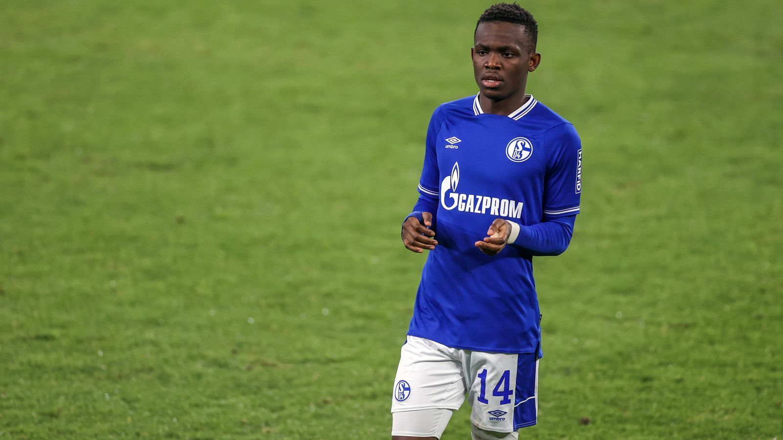 
                <strong>Rabbi Matondo</strong><br>
                "Wir glauben, dass die Luftveränderung für beide Seiten aktuell das Beste ist", kommentierte Schalkes Sportvorstand Jochen Schneider den Wechsel von Rabbi Matondo auf Leihbasis zum englischen Zweitligisten Stoke. Der 20-jährige Waliser kam Anfang 2019 von Manchester City nach Gelsenkirchen und sollte quasi die Erfolgsgeschichte von Dortmunds Juwel Jadon Sancho kopieren. Während Sancho beim BVB zum Superstar wurde, floppte Matondo aber beim Revier-Nachbarn. Nur 32 Mal kam der in Liverpool geborene Matondo in zwei Jahren zum Einsatz, dabei gelangen dem Flügelflitzer lediglich zwei Treffer. Zumindest sportlich könnte die Rückkehr Matondos nach England reizvoll sein. Statt mit Schalke im Abstiegskampf zu kicken, kann er Stoke im Aufstiegsrennen unterstützen.
              