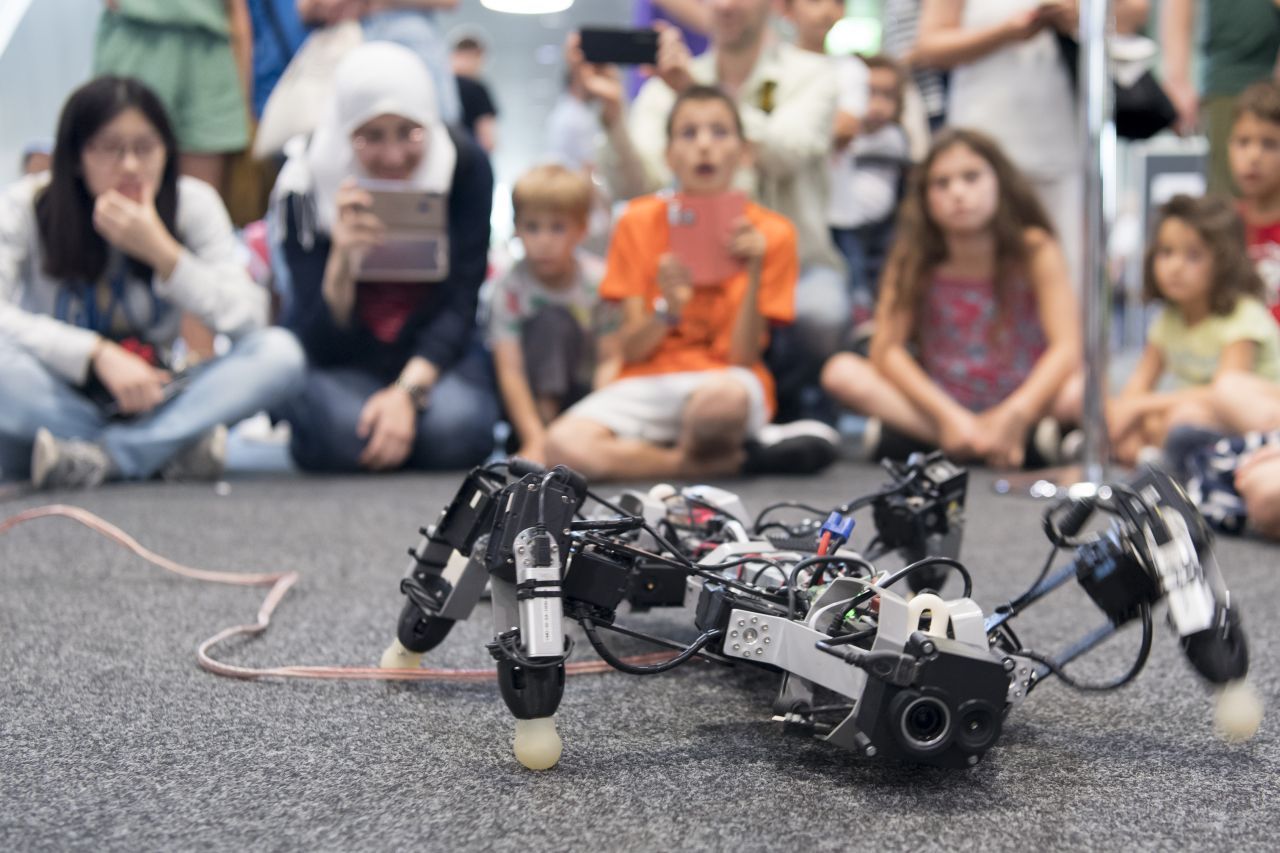 Der Hightech-Salamander Pleurobot erinnert auf den ersten Blick nicht an ein echtes Tier - bewegt sich aber so.