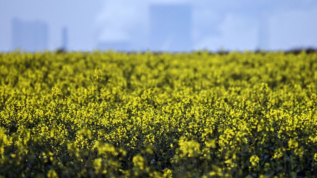 Beispielbild: Frühling in Deutschland