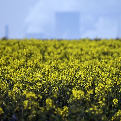 Beispielbild: Frühling in Deutschland