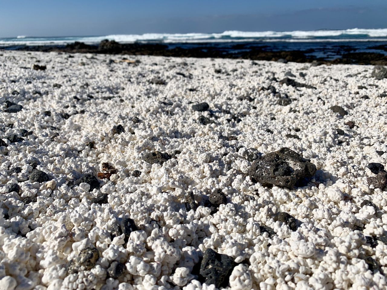 Playa del Hierro, Fuerteventura: Der Strand wurde unter dem Hashtag #popcornbeach weltberühmt. Die versteinerten Algen, die ihn bedecken, sehen aus wie der beliebte Kino-Snack. Und sind mindestens genauso begehrt. Experten schätzen, dass Besucher jeden Monat etwa 10 Kilo des weißen Belags forttragen - verbotenerweise. 
