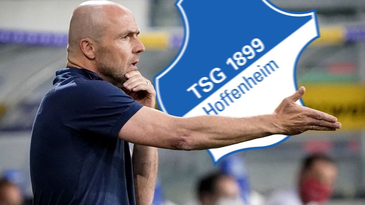 Alfred Schreuder Hoffenheim Ende