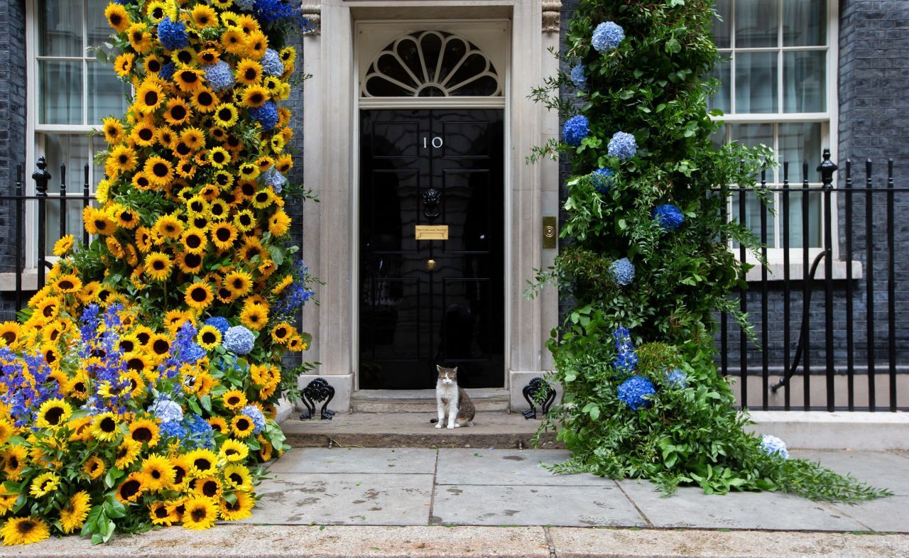 In der Downing Street 10 in London sitzen außer Kater Larry die gerade amtierenden Premierminister:innen Großbritanniens.