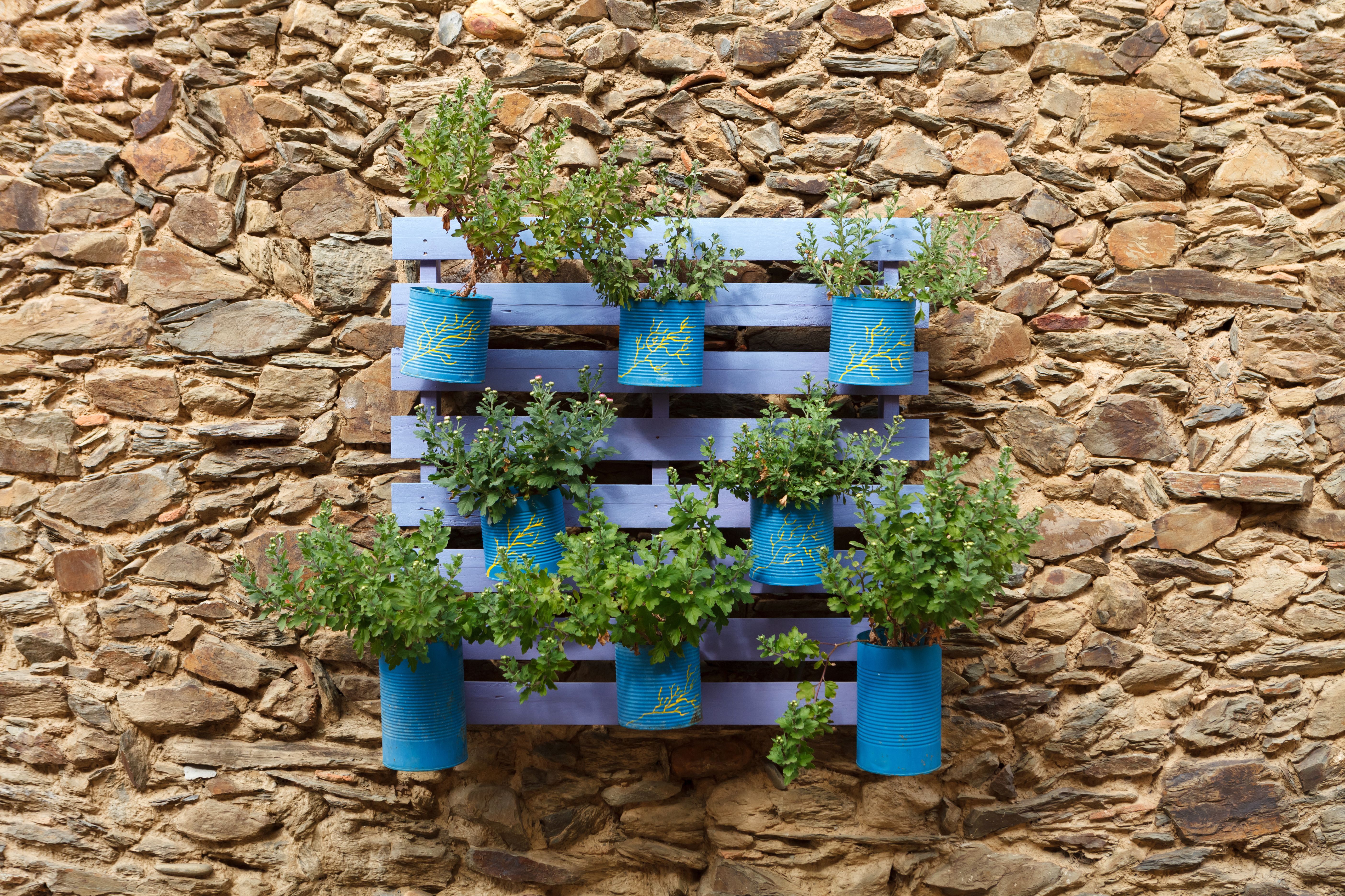 So kann ein DIY Wandgarten aussehen: Lassen Sie sich inspirieren