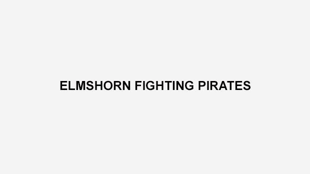 
                <strong>Elmshorn Fighting Pirates</strong><br>
                1992 nahmen die Elmshorn Fighting Pirates aus dem Kreis Pinneberg (Schleswig-Holstein) erstmals am Ligabetrieb teil. Seit 2014 spielen sie in der GFL2.
              