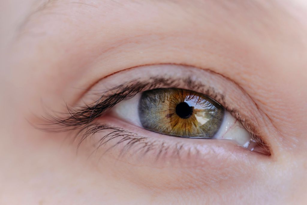 Stem cell treatment leads to vision restoration