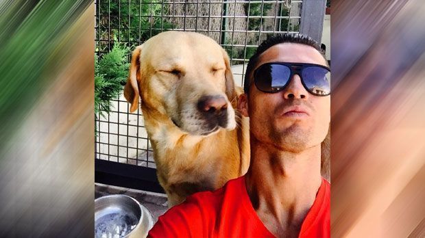 
                <strong>Hundeliebhaber: Cristiano Ronaldo</strong><br>
                Hundeliebhaber: Neben seinem Sohn ist auch Labrador Marosca häufig an der Seite von Ronaldo. Der Vierbeiner genießt das Leben mit einem Superstar.
              