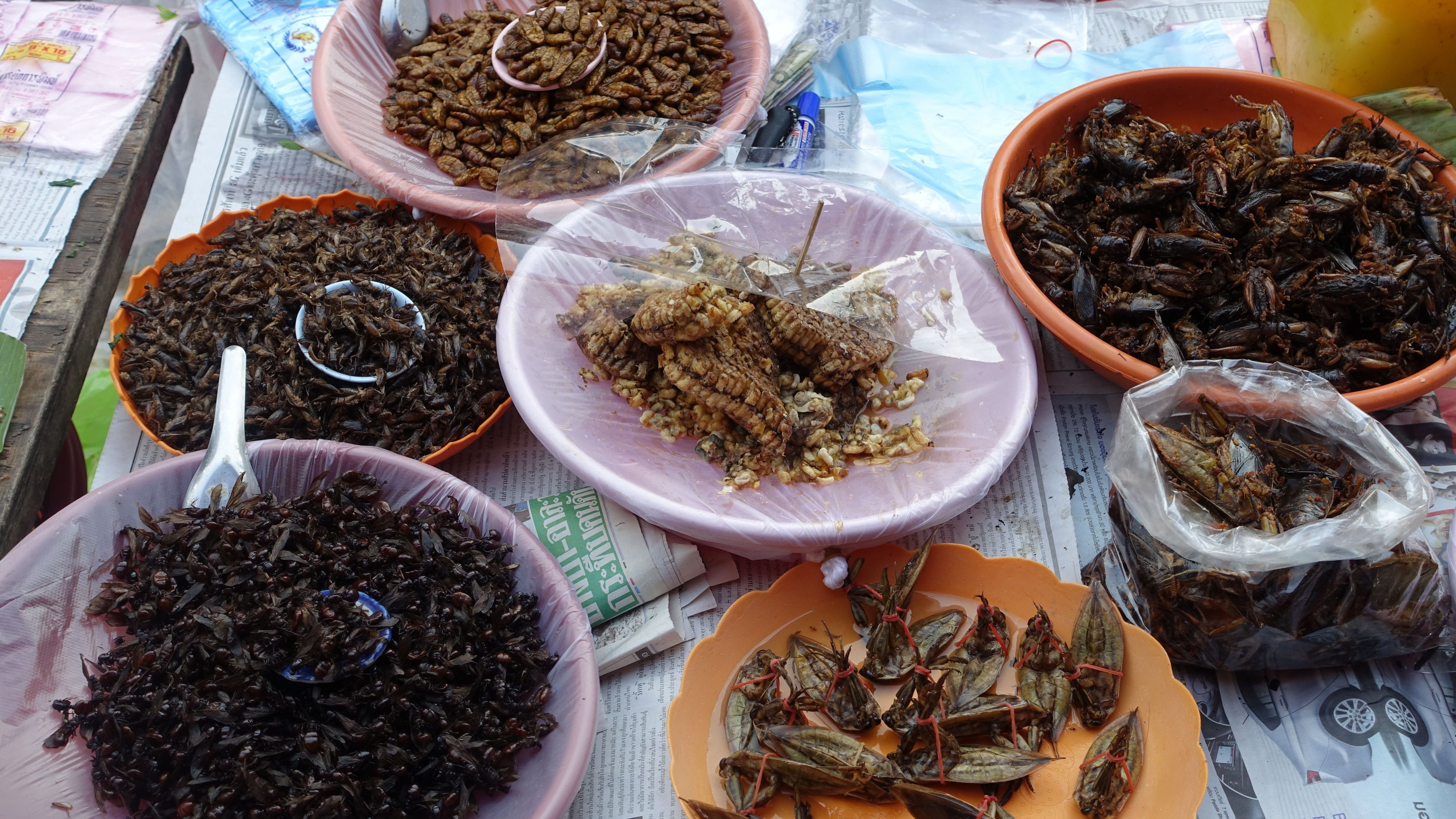 Frittierte Insekten werden zum Beispiel in Thailand, China und Kambodscha gegessen.