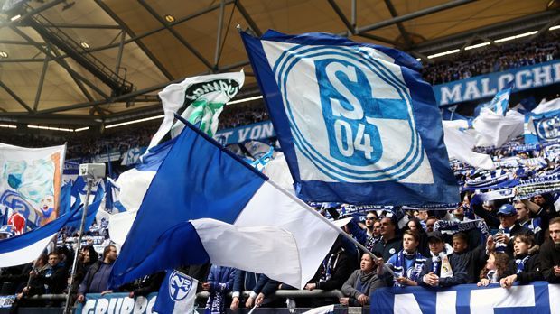 
                <strong>FC Schalke 04</strong><br>
                Minimalpreis: 190,50 Euro (Steigerung: 0 Prozent)Maximalpreis: 776 Euro (Steigerung: 0 Prozent)
              