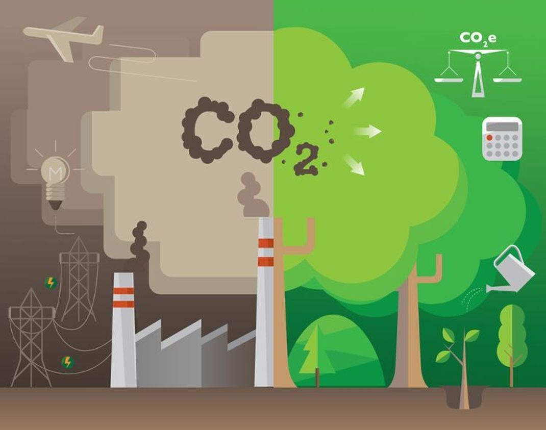 Klimafreundlich, -neutral oder -positiv: CO2-Kompensationsarten erklärt